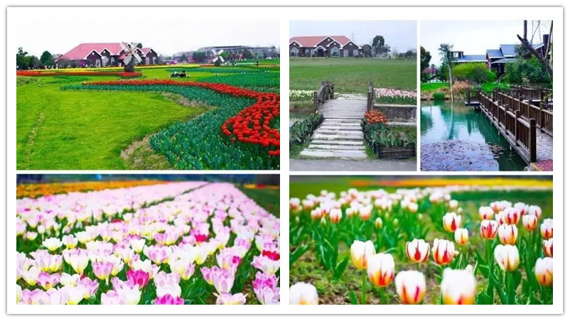 BBunion国际早教丹阳中心活动花絮：春天在哪里